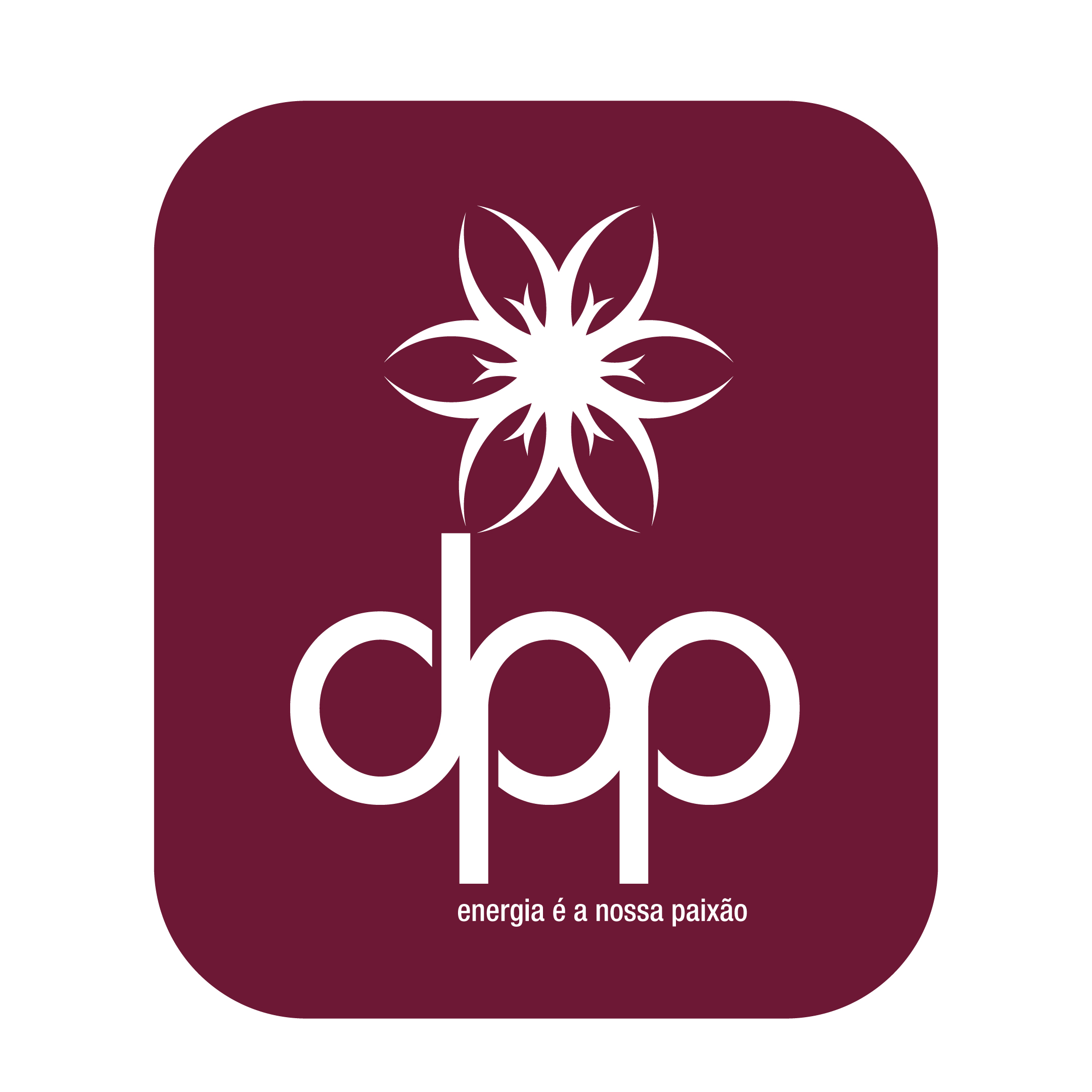 DPP - DISTRIBUIÇÃO DE PRODUTOS PETROLÍFEROS, S.A.